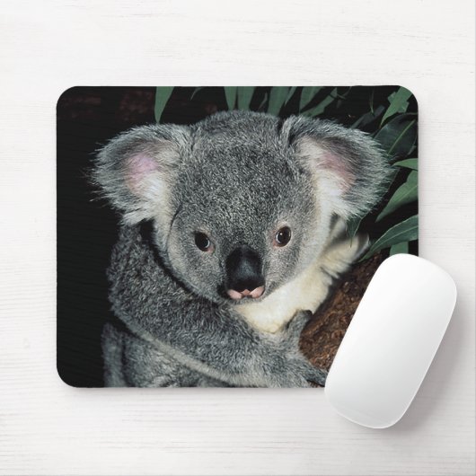 Cute Koala Beer Muismat (Met muis)