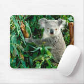 Cute Koala Beer Muismat (Met muis)