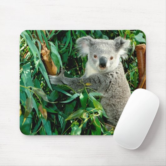 Cute Koala Beer Muismat (Met muis)