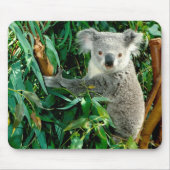 Cute Koala Beer Muismat (Voorkant)