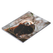CUTE KOALA BEER NOTITIEBOEK (Linkerzijde)