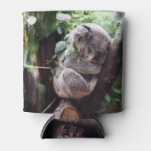 Cute Koala Beer ontspannend in een boom Blikjeskoeler (Voorkant)