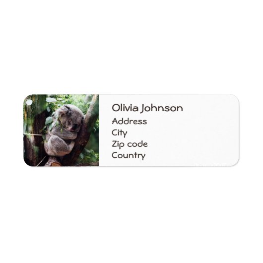 Cute Koala Beer ontspannend in een boom Etiket (Voorkant)