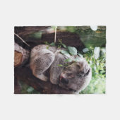 Cute Koala Beer ontspannend in een boom Fleece Deken (Voorkant (Horizontaal))