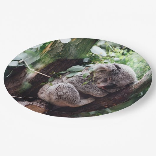 Cute Koala Beer ontspannend in een boom Papieren Bordje (Gekanteld)