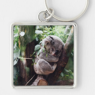 Cute Koala Beer ontspannend in een boom Sleutelhanger