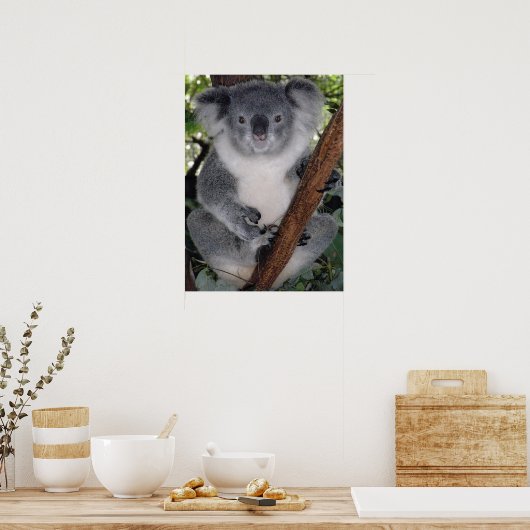 CUTE KOALA BEER POSTER (Keuken)