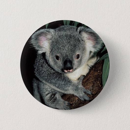 Cute Koala Beer Ronde Button 5,7 Cm (Voorkant)