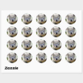 Cute Koala Beer Ronde Sticker (Vel)