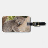 Cute Koala Beer rust op een boom Bagagelabel (Voorkant horizontaal)