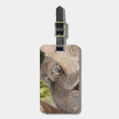 Cute Koala Beer rust op een boom Bagagelabel (Voorkant verticaal)