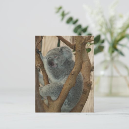 Cute Koala Beer Slaapend Briefkaart (Staand voorkant)