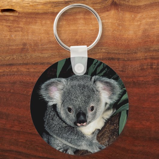 Cute Koala Beer Sleutelhanger (Voorkant)