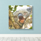 Cute Koala Beer Wrapped Canvas Afdruk (Insitu (Houten vloer))