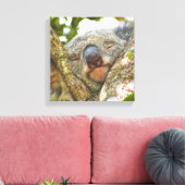 Cute Koala Beer Wrapped Canvas Afdruk (Insitu (Woonkamer))