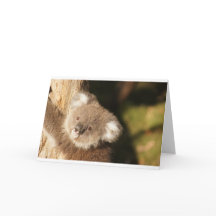 Cute Koala Beerfeest Verjaardag