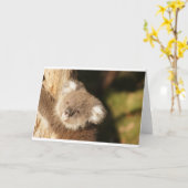 Cute Koala Beerfeest Verjaardag Kaart (Gele Bloem)