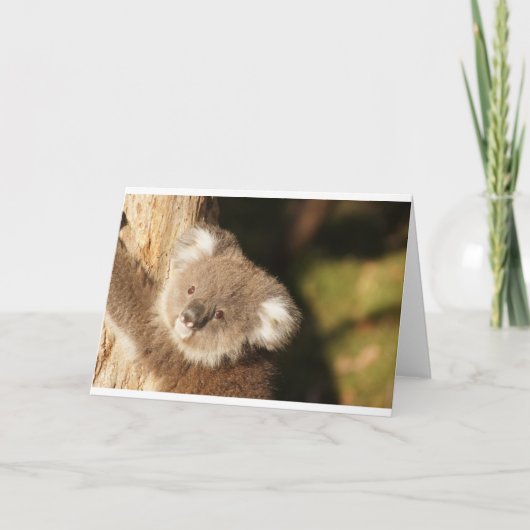 Cute Koala Beerfeest Verjaardag Kaart (Voorkant)