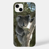 Cute Koala Beklimt een boomfoto Case-Mate iPhone Case (Achterkant)