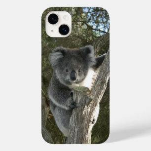 Cute Koala Beklimt een boomfoto Case-Mate iPhone 14 Plus Hoesje