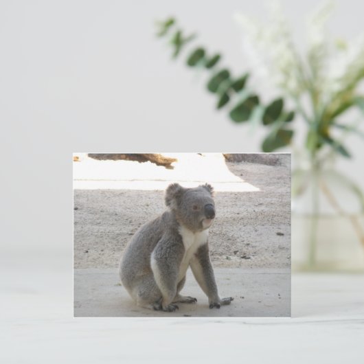 Cute Koala Briefkaart (Staand voorkant)