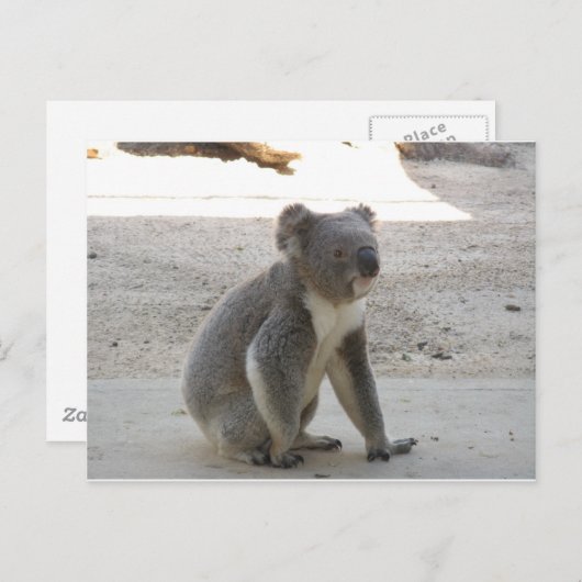 Cute Koala Briefkaart (Voorkant / Achterkant)
