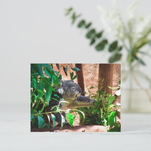 Cute Koala Briefkaart (Staand voorkant)