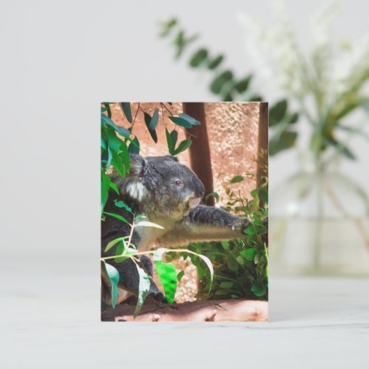 Cute Koala Briefkaart (Staand voorkant)