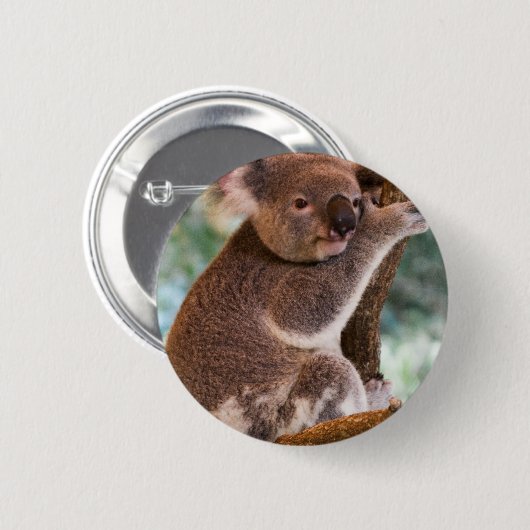Cute Koala Button (Voorkant /achterkant)