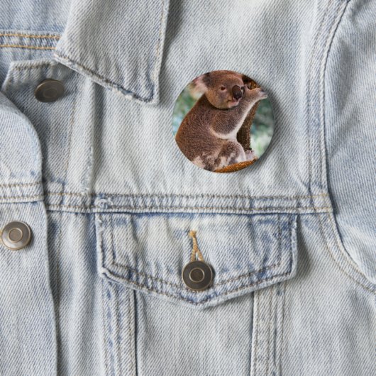 Cute Koala Button (In situ)