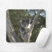 Cute Koala Climbing a Tree Photo Muismat (Met muis)