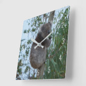 Cute Koala Climbing in a Tree Australia Square Wal Vierkante Klok (Hoek)