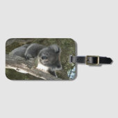 Cute Koala die een Bagagelabel van de boom beklimt (Voorkant (horizontaal))