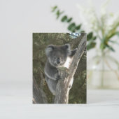 Cute Koala die een boom beklimt Briefkaart (Staand voorkant)