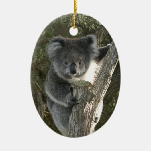 Cute Koala die een boom beklimt Keramisch Ornament (Voorkant)