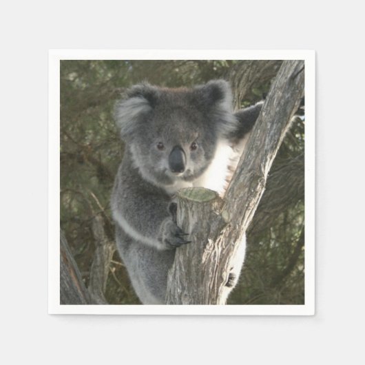 Cute Koala die een boom beklimt Servetten (Voorkant)