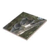 Cute Koala die een boom beklimt Tegeltje (Zijkant)