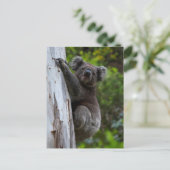 Cute Koala die een Briefkaart van Australië beklim (Staand voorkant)