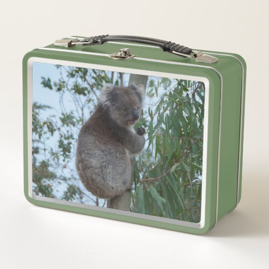 Cute Koala in een boom die groen eet (Voorkant)