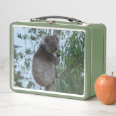 Cute Koala in een boom die groen eet (In situ)