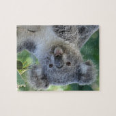 Cute koala jigzaagpuzzel legpuzzel (Horizontaal)