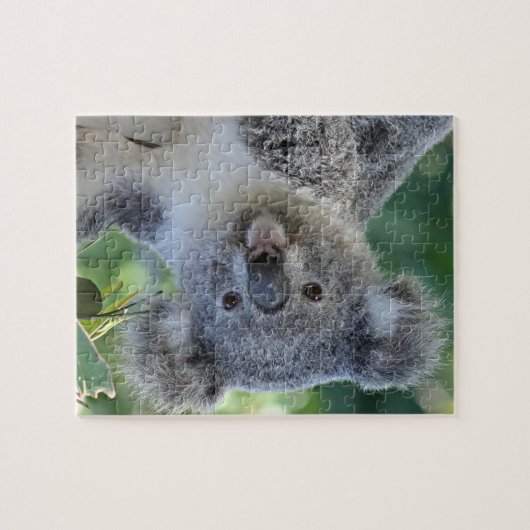 Cute koala jigzaagpuzzel legpuzzel (Horizontaal)