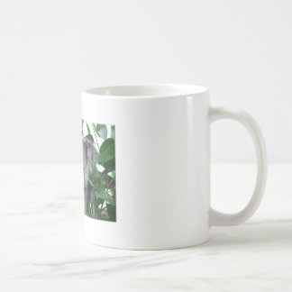 Cute Koala Koffiemok