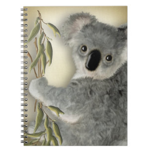Cute Koala Notitieboek