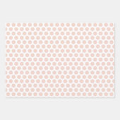 Cute Koala Panda Beer Wrapping Paper Set of 3 (Voorkant 2)