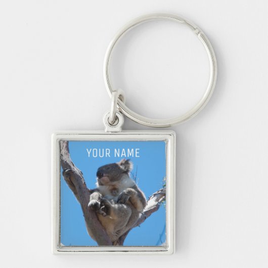 Cute Koala Sleeping in een boom Australië Sleutelhanger (Voorkant)