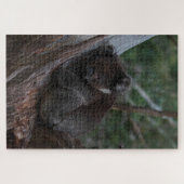 Cute Koala Sleeping in Tree Australia, 1014 stuks Legpuzzel (Horizontaal)