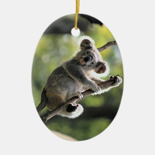 Cute Koala-versier Keramisch Ornament (Voorkant)