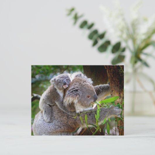 Cute Koalas Briefkaart (Staand voorkant)