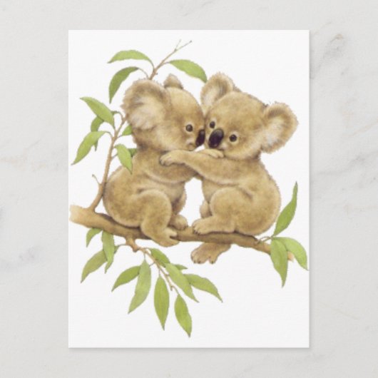 Cute Koalas Briefkaart (Voorkant)